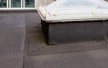 disadvantages of Elm Cross flat roofs