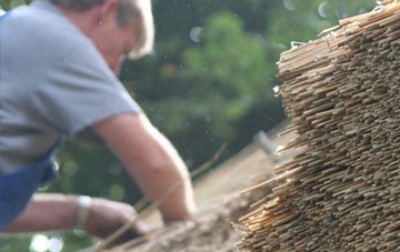 professional Elm Cross thatchers